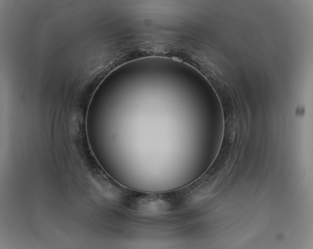 X0000091570747200708201145