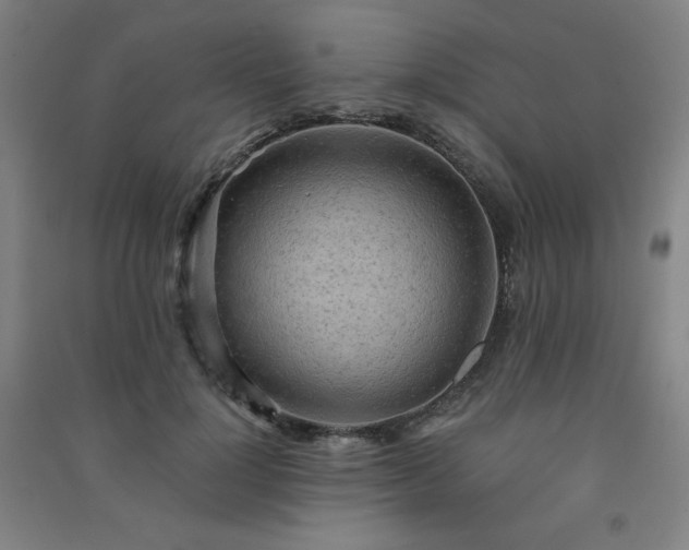 X0000091570748200708201145