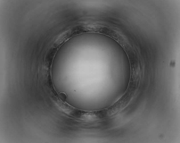 X0000091570749200708201145