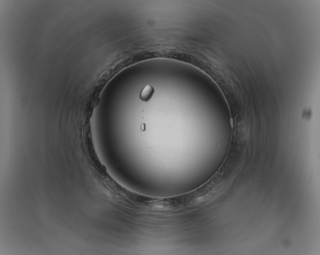 X0000091570750200708201145