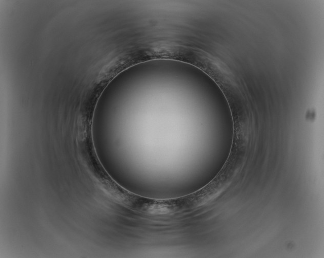 X0000091570751200708201145