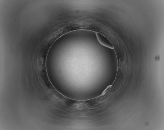 X0000091570752200708201145