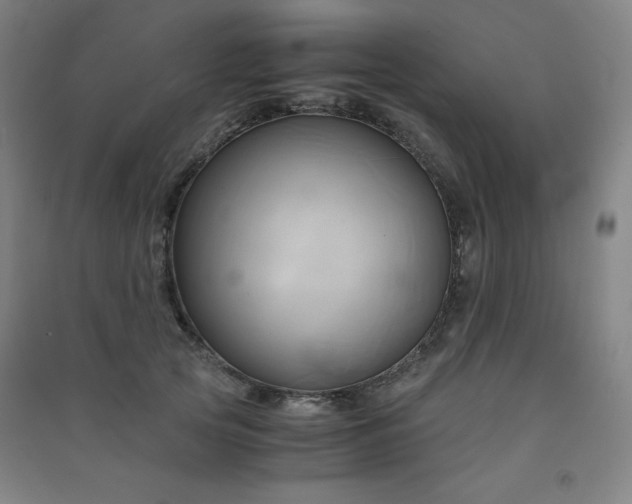 X0000091570753200708201145