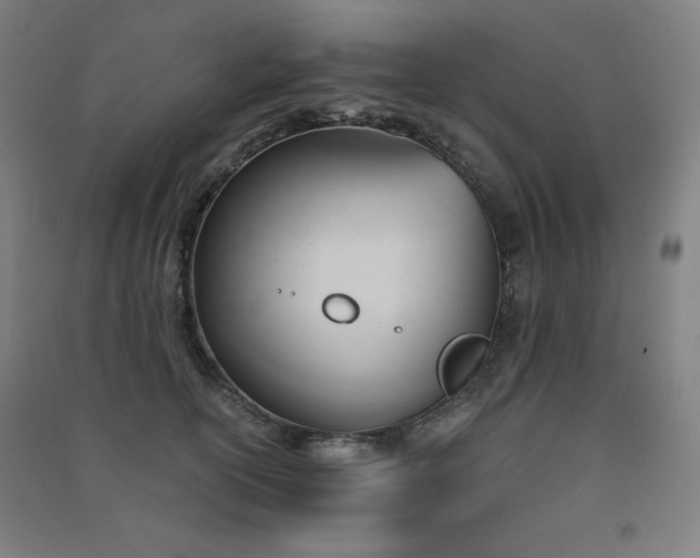 X0000091570754200708201145