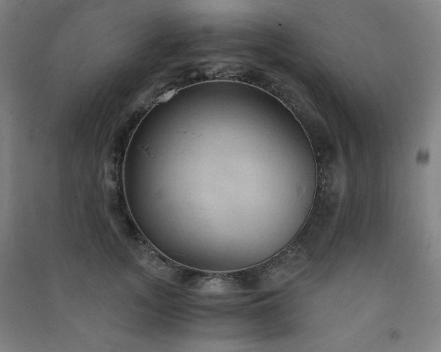 X0000091570755200708201145
