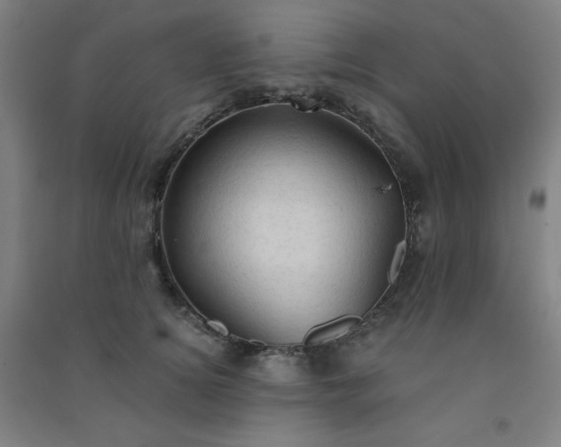X0000091570756200708201145