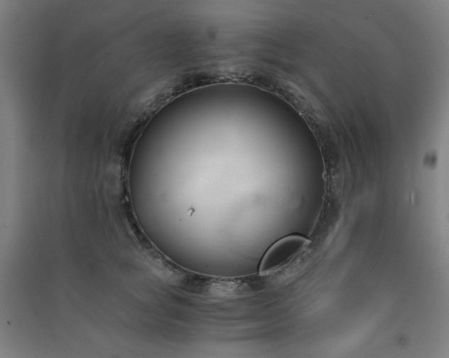 X0000091570757200708201145