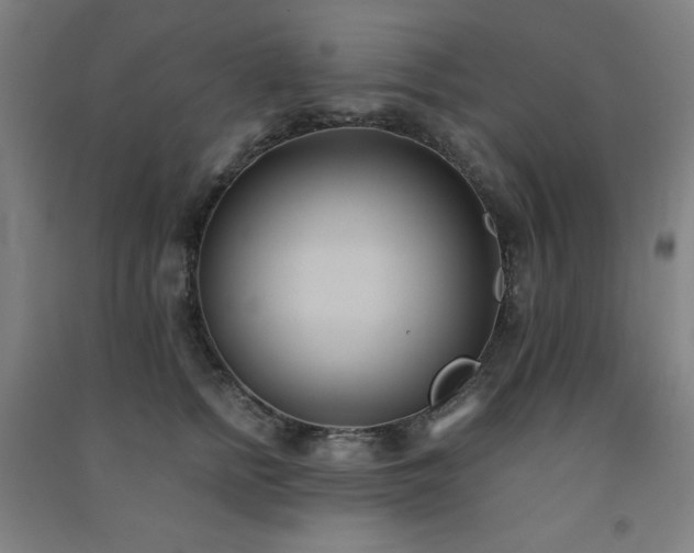 X0000091570758200708201145