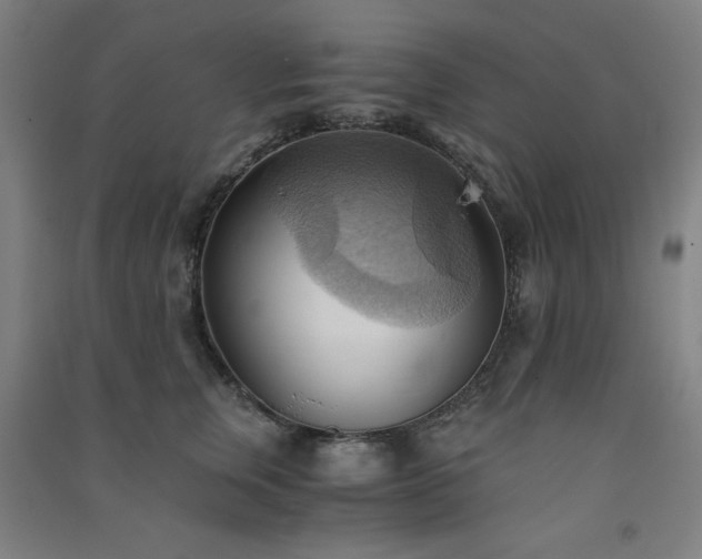 X0000091570759200708201145