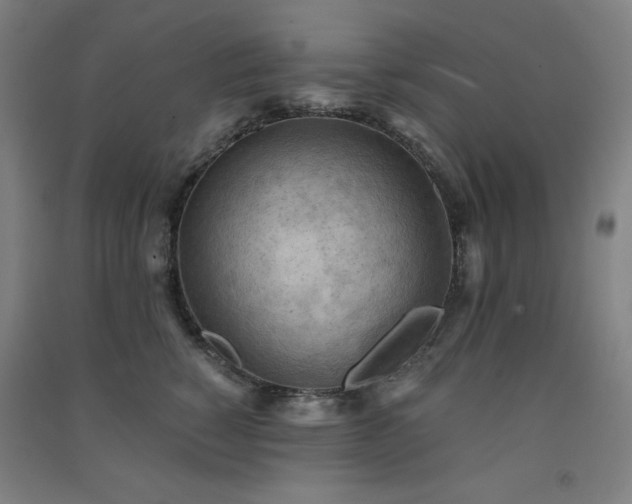 X0000091570760200708201145