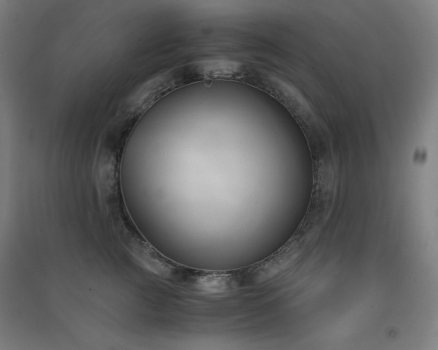 X0000091570761200708201145