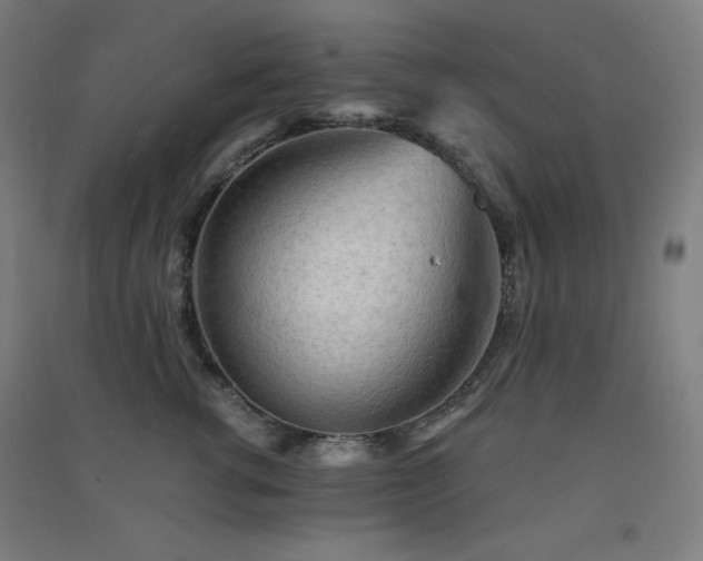 X0000091570762200708201145