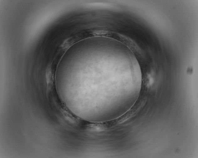 X0000091570763200708201145