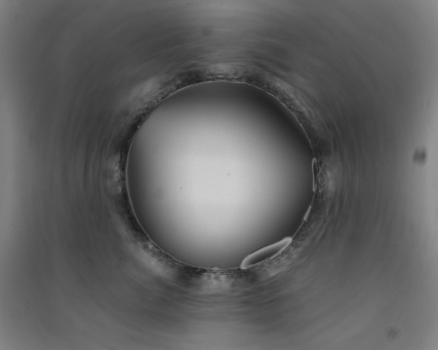X0000091570764200708201145