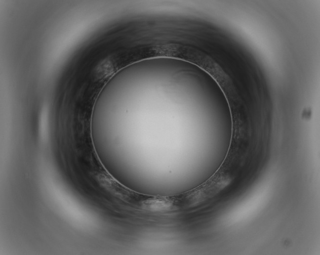 X0000091570765200708201145