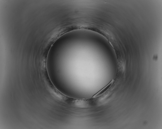 X0000091570766200708201145