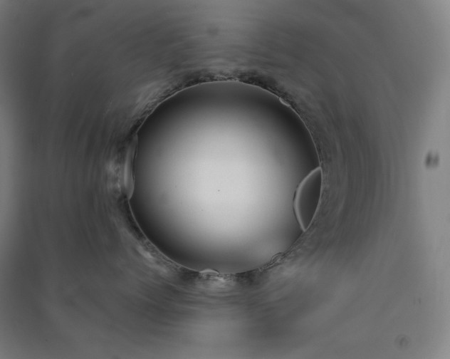 X0000091570768200708201145