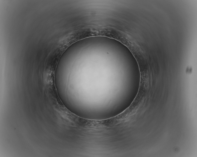 X0000091570770200708201145