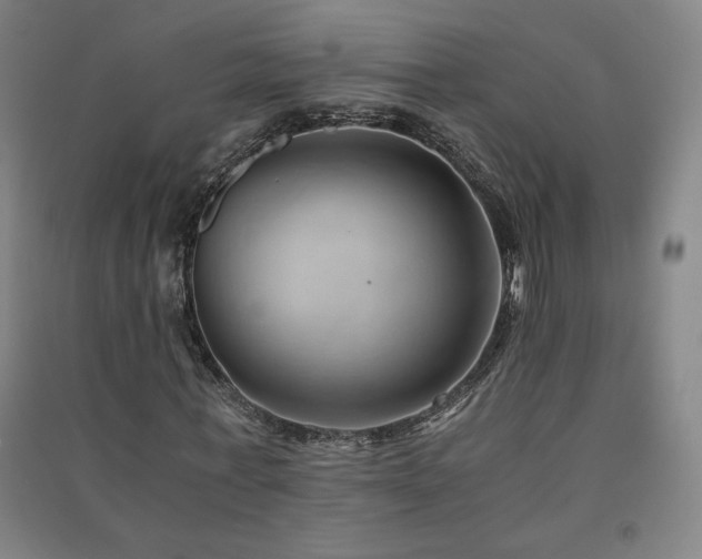 X0000091570771200708201145
