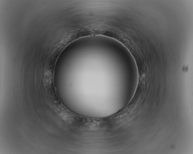 X0000091570772200708201145