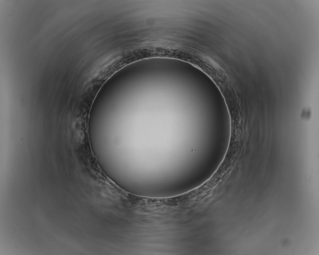X0000091570774200708201145