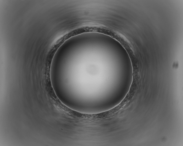 X0000091570775200708201144
