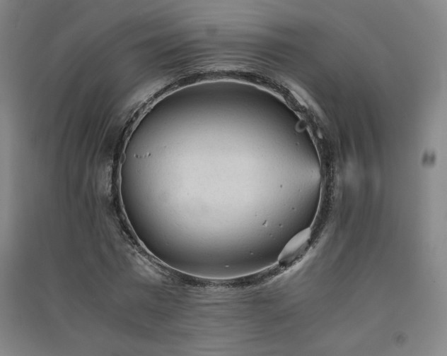 X0000091570777200708201144