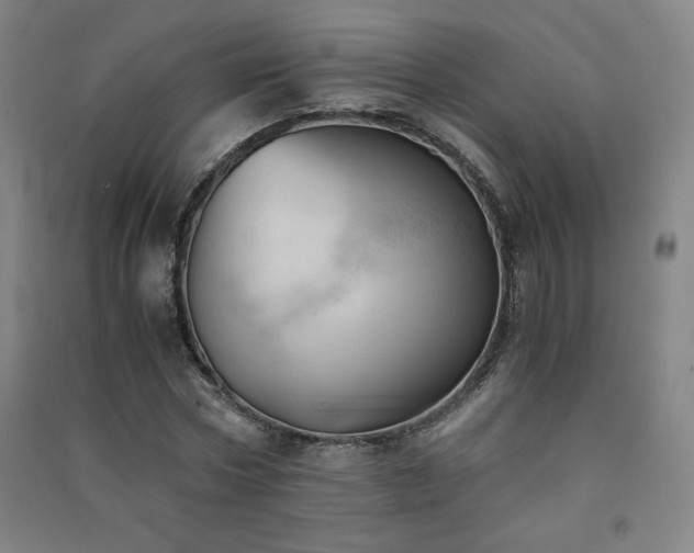 X0000091570778200708201144