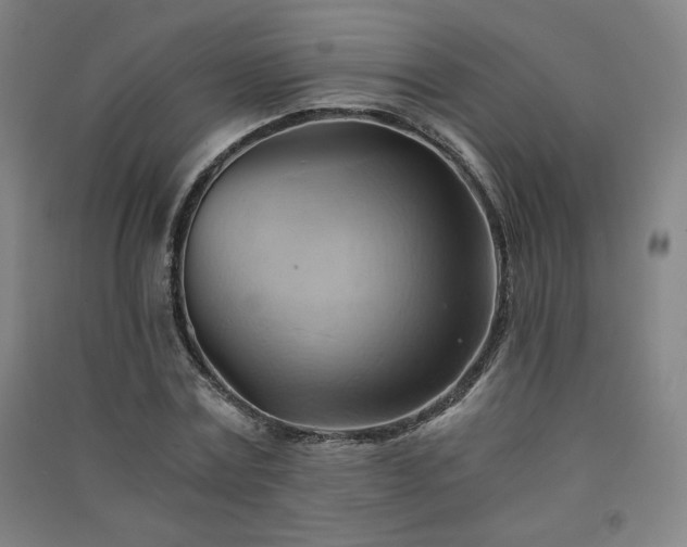 X0000091570779200708201144