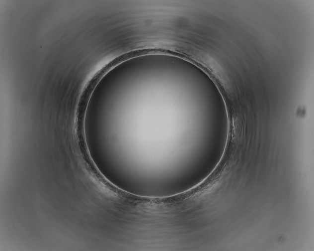 X0000091570780200708201144