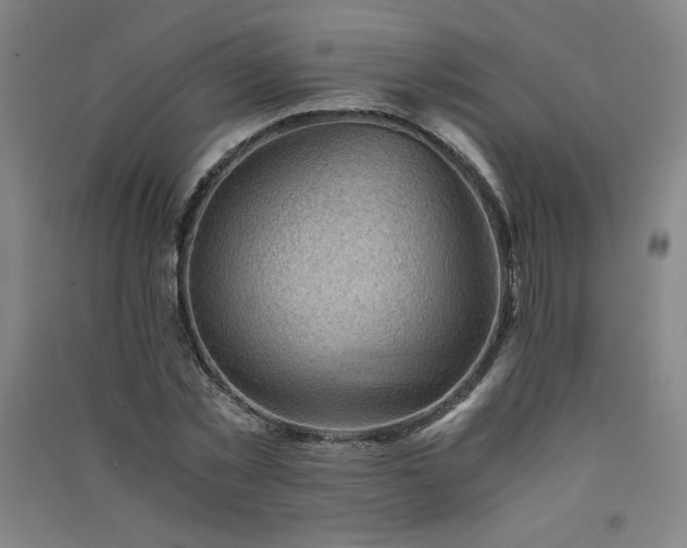 X0000091570781200708201144