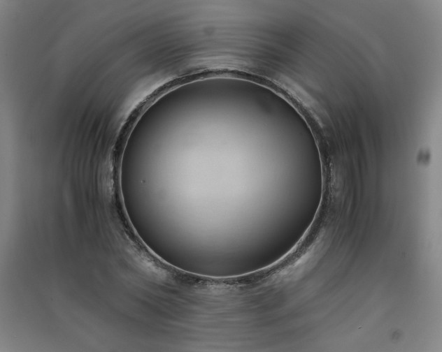 X0000091570782200708201144