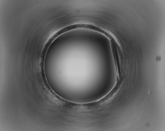 X0000091570783200708201144