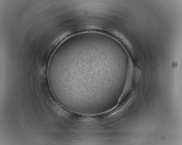 X0000091570785200708201144