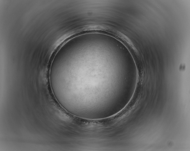 X0000091570786200708201144