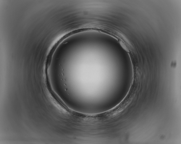 X0000091570788200708201144