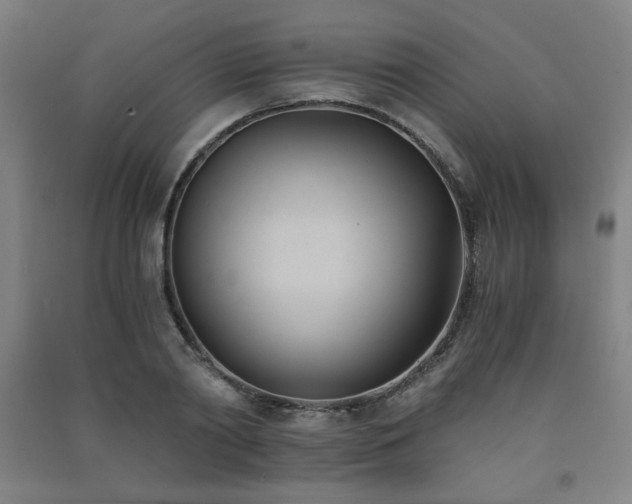 X0000091570790200708201144