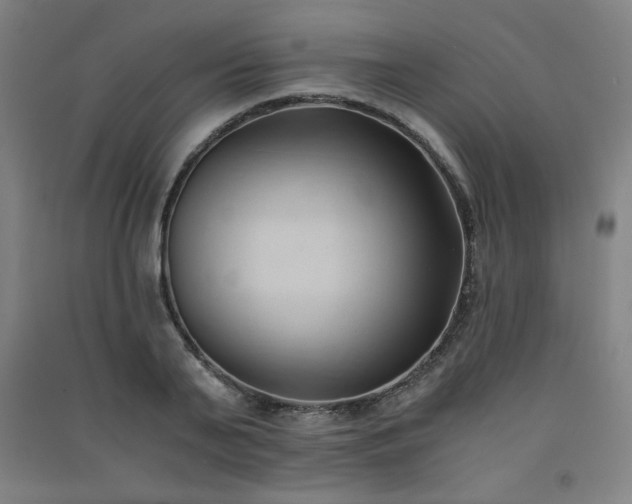 X0000091570791200708201144