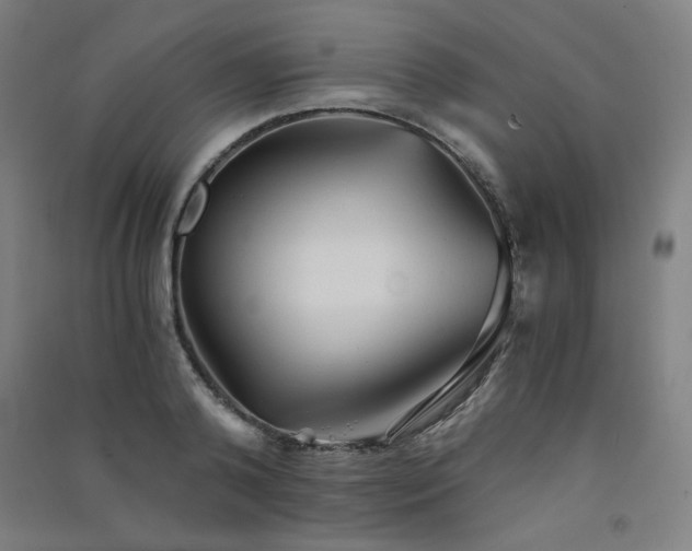 X0000091570792200708201144