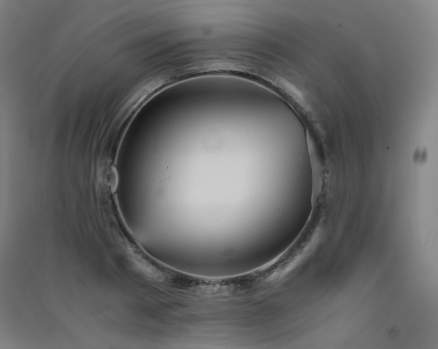 X0000091570793200708201144
