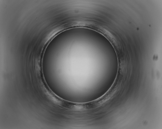 X0000091570794200708201144