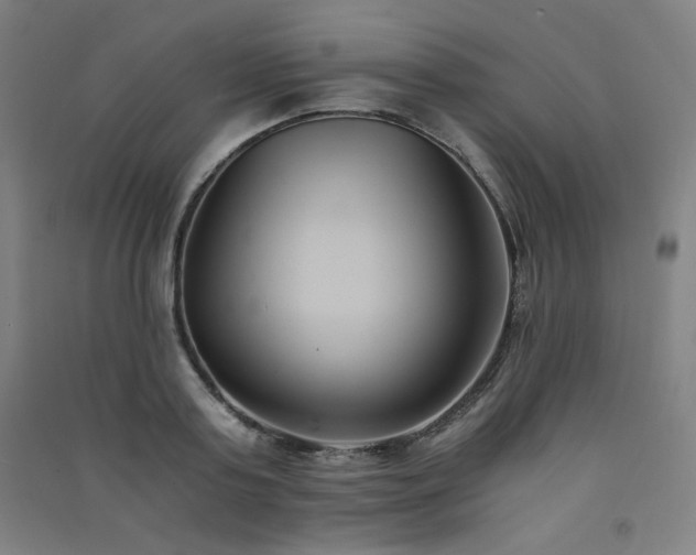 X0000091570795200708201144