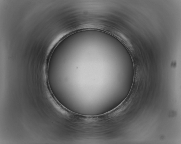 X0000091570796200708201144