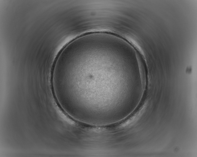 X0000091570797200708201144