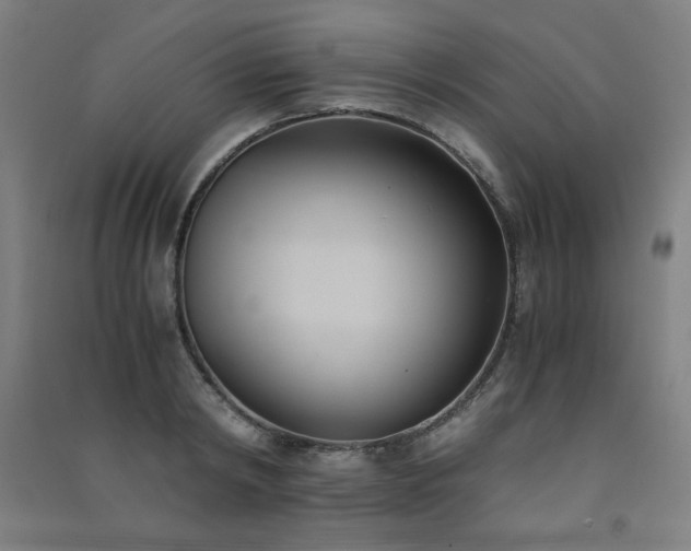 X0000091570798200708201144