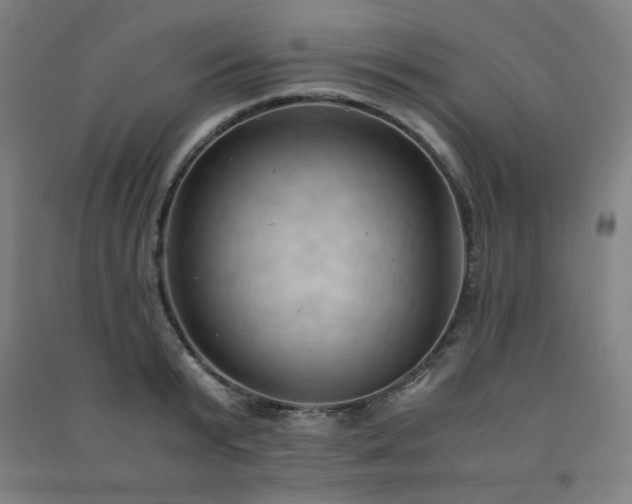 X0000091570799200708201144