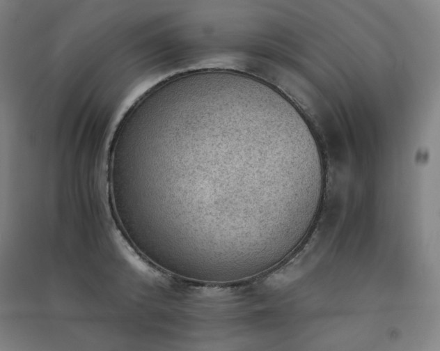 X0000091570800200708201144