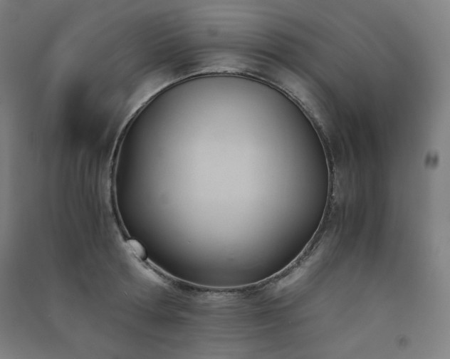 X0000091570802200708201144