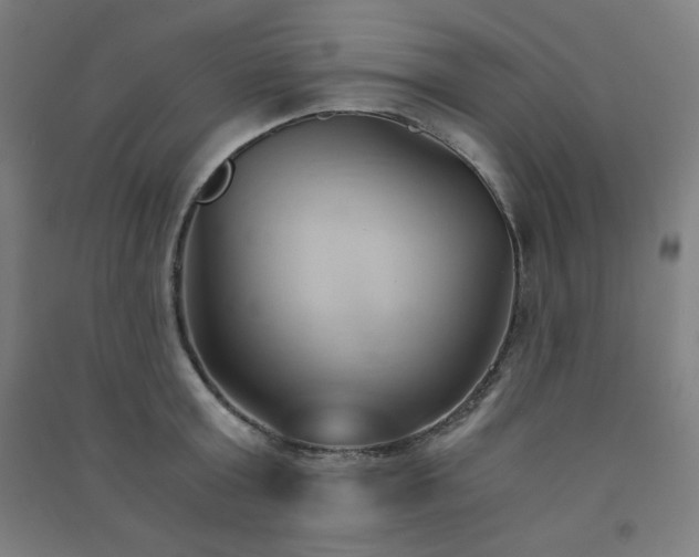 X0000091570803200708201144