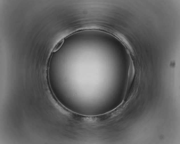 X0000091570805200708201144